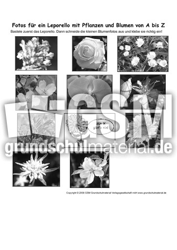Leporello-Pflanzen-A-Z-Fotos-SW-2.pdf